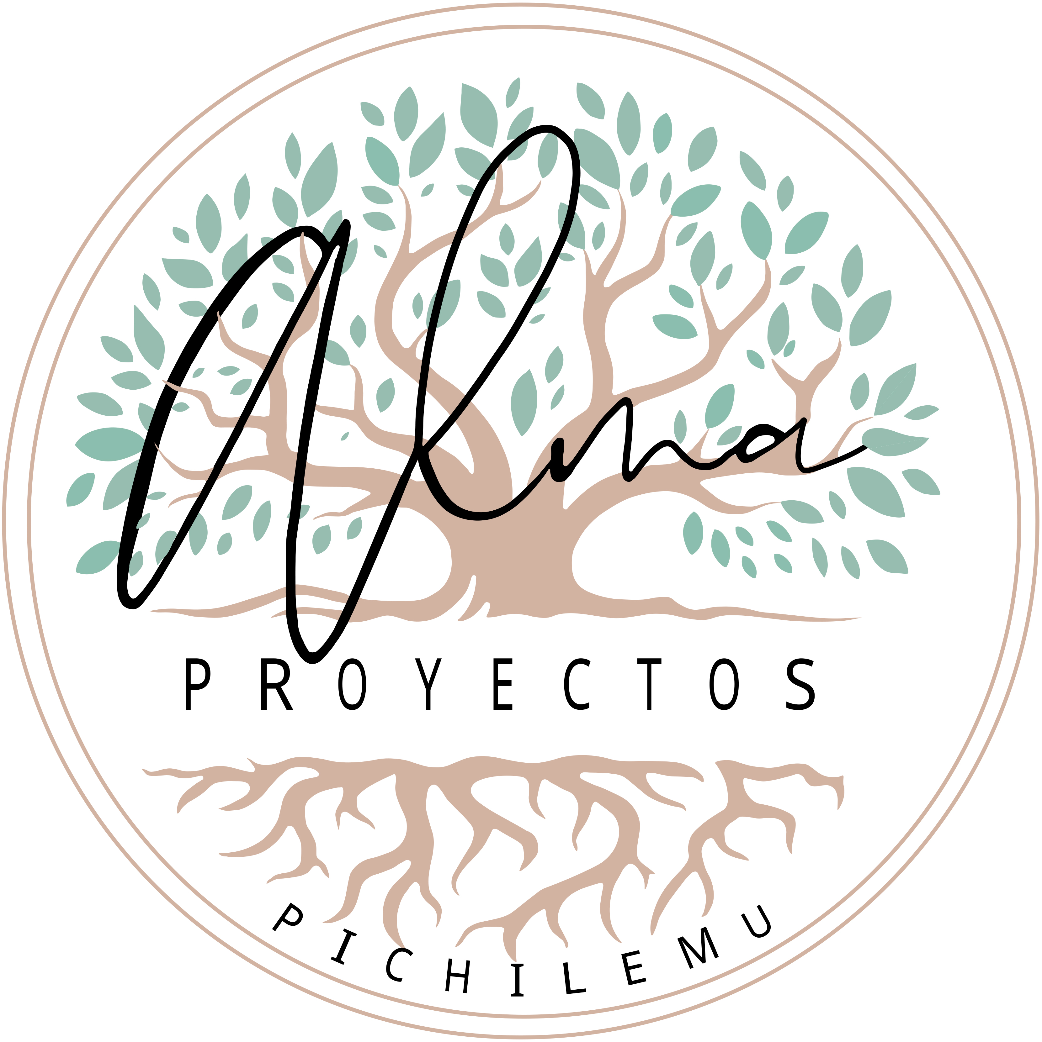 Alma Proyectos